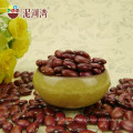 Organic British Red Kidney Beans Dark Red Kidney Beans Shanxi Variety 180-200pcs/100g